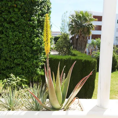 Stories - Cosy Boho El Arenal - Toplocation - 250m From The Beach! Apartamento *